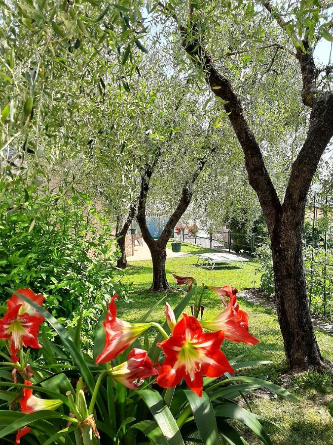 Apartment Maria Brenzone sul Garda Exteriör bild