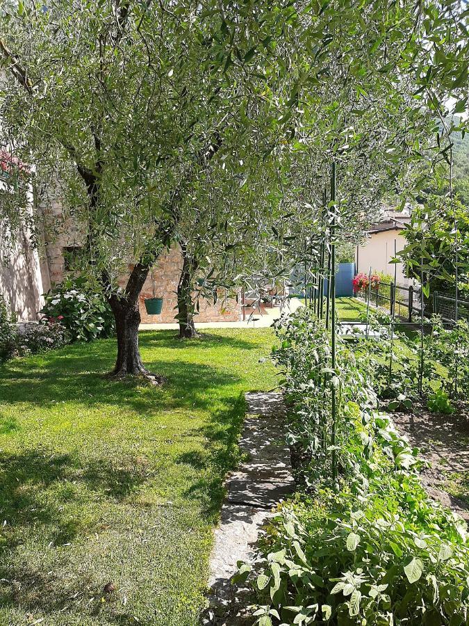 Apartment Maria Brenzone sul Garda Exteriör bild